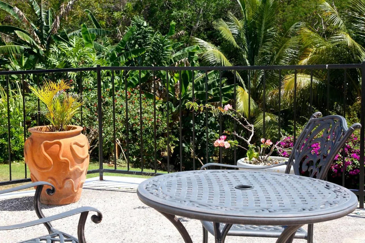 Jannetta'S @Whimhill Bed & Breakfast Negril Villa